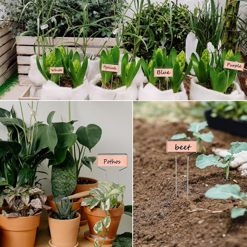 GHAMYEE 30pcs Plant Labels Copper Plant Markers for Outdoor Plants 6inch Plant Labels for Seedlings Outdoor Garden Waterproof Plant Tags and Labels for Flower Vegetable Herbs Greenhouse (6 in, Copper) - Image 4